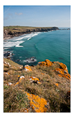 walk between Kynance Cove & Lizard Point